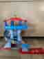 Paw Patrol torn