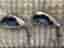 Callaway Big Bertha X-16 järnklubbor + TaylorMade R5 driver golfklubbor