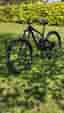 Specialized Enduro 2021