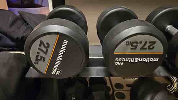 27.5 kg hantlar
