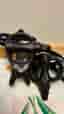 Cykel pedal XIC.