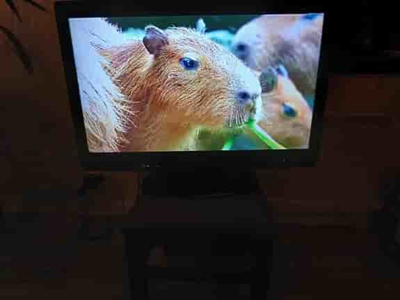 Sharp 32" LCD TV.