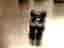 Styrstam till MTB