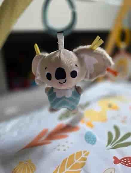 Fisher-Price babygym