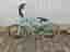 BMX Cykel Yosemite Tailwip