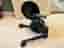 Wahoo Kickr v5 cykeltrainer