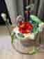 Fisher-Price hoppgunga / jumperoo för bebis