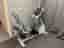 Precor RBK Liggcykel – Nyservad / Gymkvalitet (Commercial Series)