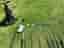 Golfset