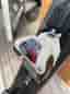 K2 Hardside 184cm - 95mm - 23 m radie