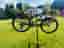Specialized Epic World Cup Expert 2024 Medium