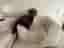 Soffa sett