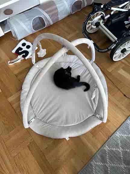 Babygym mjukt grå