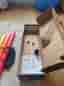 Boomwhackers rytmrör set flerfärgade