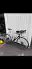 Trek Domane 4 Series 60cm – kolfiber, Shimano 105,