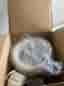 Krups GVS1 glassmaskin vit