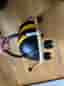 Wheely Bug humla