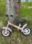 Pinepeaks springcykel, balanscykel 12”