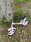 Pinepeaks springcykel, balanscykel 12”