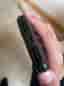 Powerbank