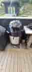 Weber Smokey Mountain 57