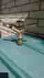 Bevattnings Spridare  Nelson F33  Ny