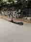 Ninebot E25E Elspark
