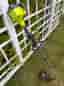 Ryobi RLT254CDSO grästrimmer bensin