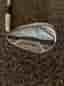 Cleveland CBX2 wedge golfklubba höger