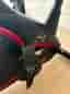 Motionscykel AL2 Christopeit