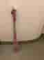 Atomic skidstavar 85 cm rosa