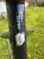 Cannondale Trail Three MTB