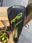 Cobra Radspeed driver 10.5° höger grafitskaft