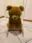 Gungbjörn