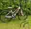 Scott Sportster dam, hybrid