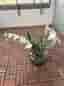 Retro IKEA rökgrå glasvas + SMYCKA lyxiga konstblommor (Hagastaden)