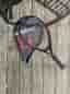 TecnoPro tennisracket med fodral svart/röd