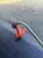 STIHL FS 38 bensintrimmer