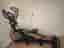 Sole Fitness E35 Crosstrainer