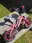 Crescent Children’s Bicycle with Training Wheels – Great Starter Bike