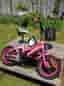 Crescent Children’s Bicycle with Training Wheels – Great Starter Bike