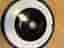 iRobot Roomba 691 robotdammsugare