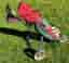 Spalding Flying Lady golfset höger med vagn + extra driver
