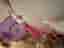 Helt ny Pollux barncykel 12" (Rosa)