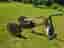 Wishbone 3 in 1 balans cykel