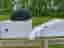 Poc cykelhjälm Myelin uranium Black