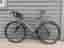 Focus Cayo carbon