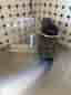 Nespresso kapselmaskin svart/silver