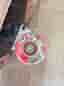 Skateboard 53 mm hjul