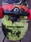 Powell Peralta skateboard